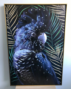 Cockatoo Framed Canvas