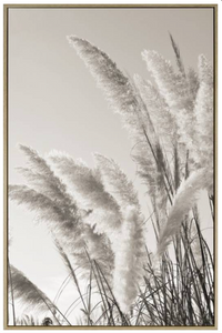 Pampus Grass Framed Canvas